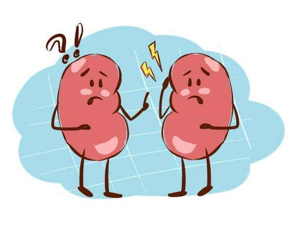 健康養(yǎng)生小知識！腎衰竭的早期癥狀表現(xiàn)有哪些？