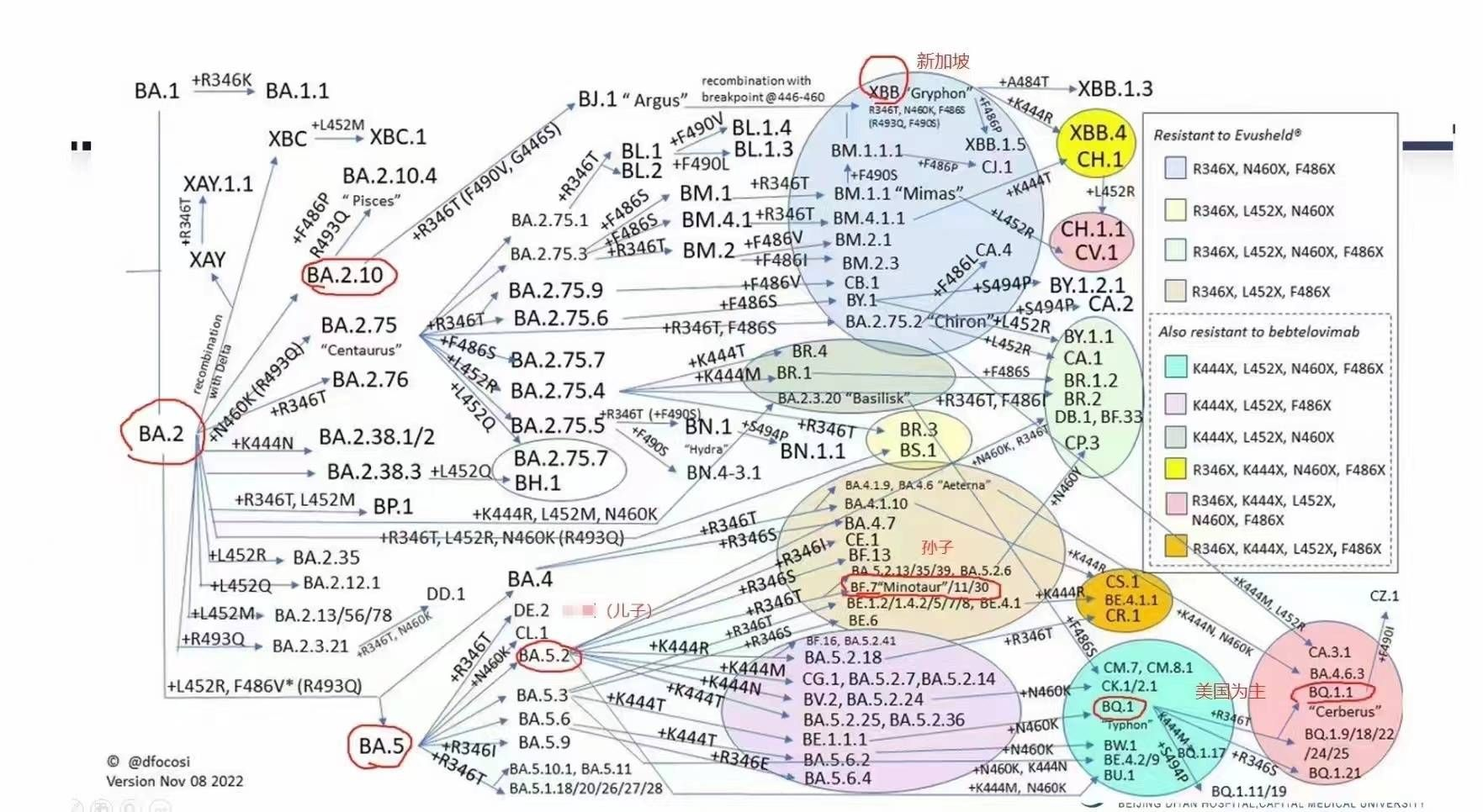 陽了哪些事情不能做？感染新冠康復(fù)之后哪些事要注意？