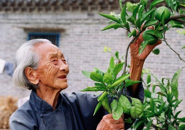 長壽的人有哪些特點？年紀大了如何養(yǎng)生？