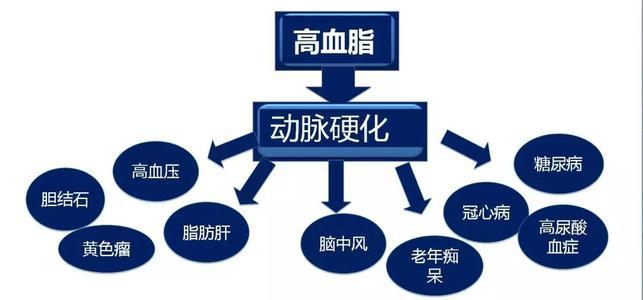 高血脂一般會產(chǎn)生什么樣的危害呢？高血脂有什么危害？